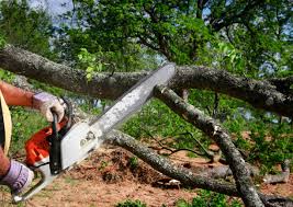 Best Lawn Grading and Leveling  in Nashville, IN
