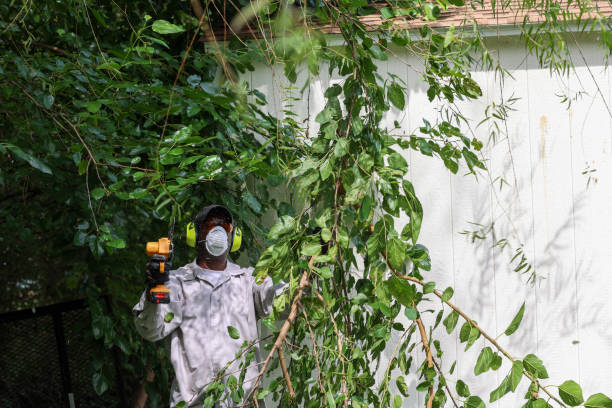 Best Tree Health Inspection  in Nashville, IN
